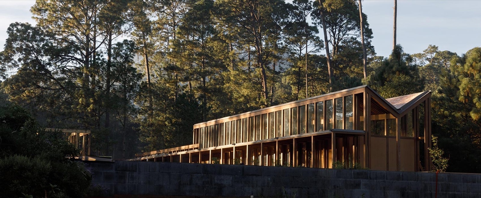 Pabellón de estructura de madera entre pinos — obra de MICMAC